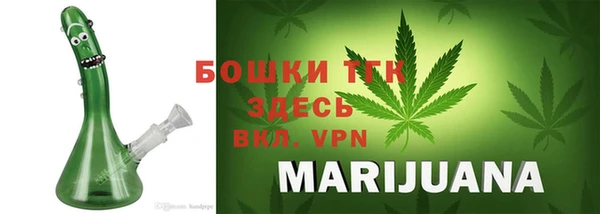 дживик Горняк