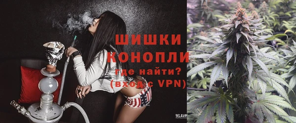 дживик Горняк