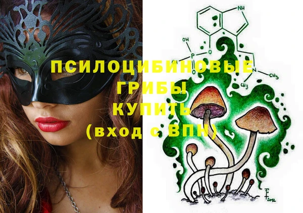 дживик Горняк