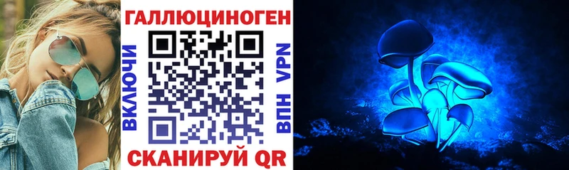 Галлюциногенные грибы Psilocybine cubensis  Купить  Кропоткин 
